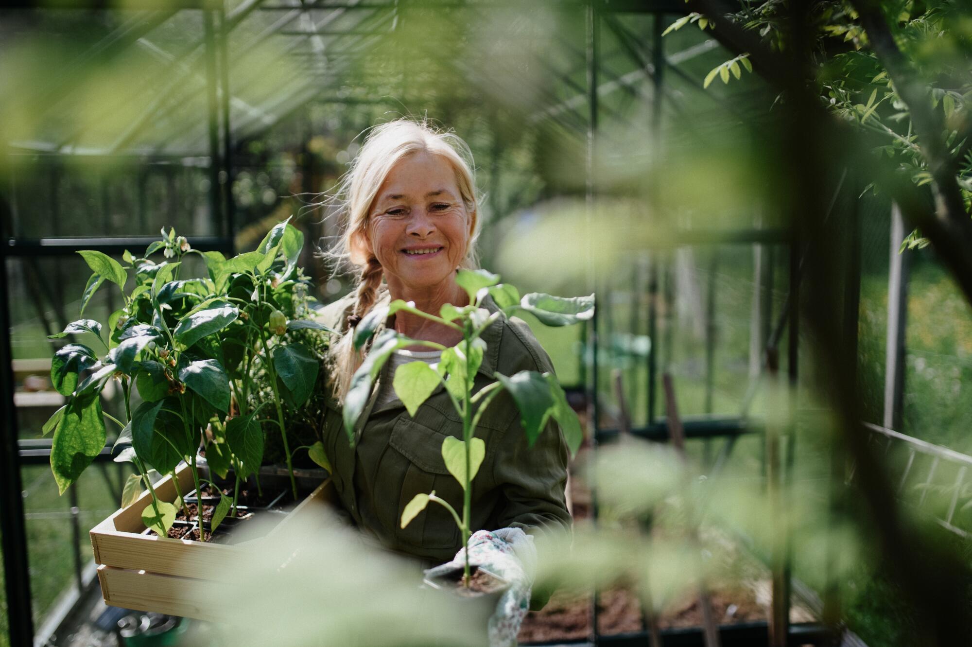Cheap Hobbies for Seniors in Chattanooga, TN Independent Living